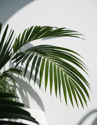 Similar image 21845629