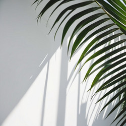 Similar image 21845631