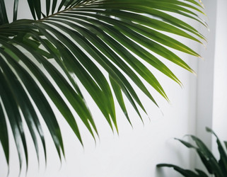 Similar image 21845633