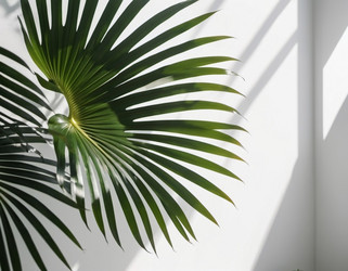 Similar image 21845634