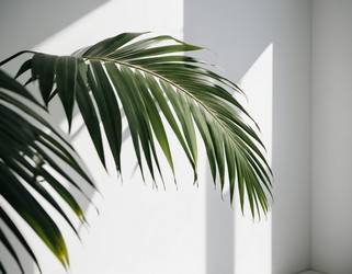 Similar image 21845636