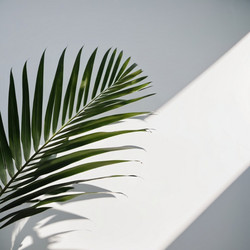 Similar image 21845637