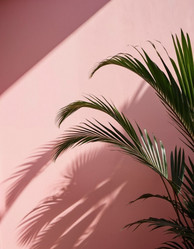 Similar image 21845640