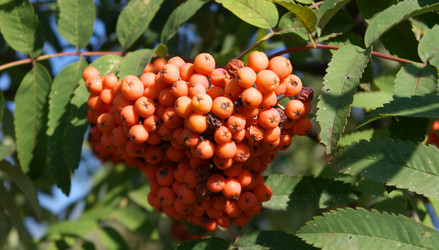 Similar image 21833497