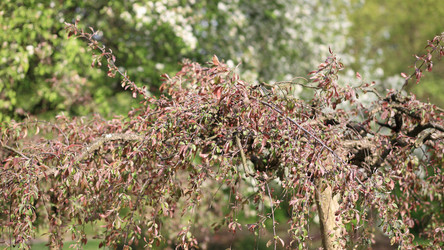 Similar image 21833502