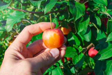 Similar image 21836751