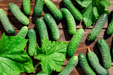 Similar image 21836754