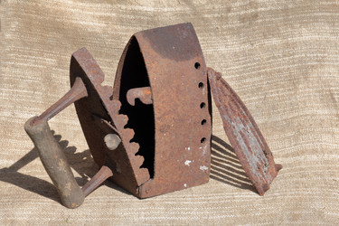 Similar image 21833639