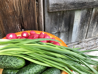 Similar image 21833646