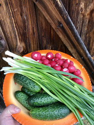 Similar image 21833652