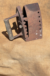 Similar image 21833669