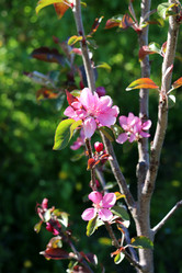 Similar image 21833348