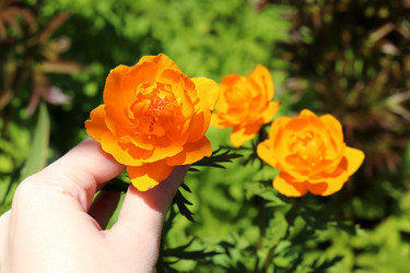 Similar image 21833506