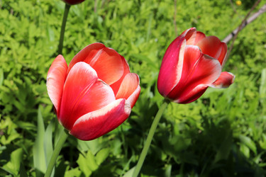 Similar image 21833507