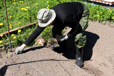 Similar image 21833508