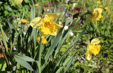 Similar image 21833510