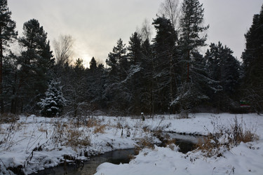 Similar image 21833305