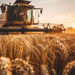 Similar image 21833133