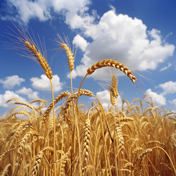 Similar image 21833134