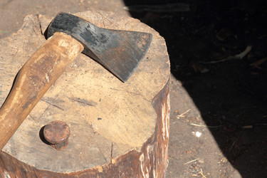 Similar image 21833698