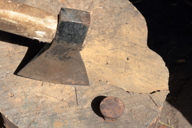 Similar image 21833708