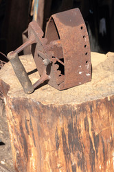 Similar image 21833713