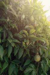 Similar image 21841556