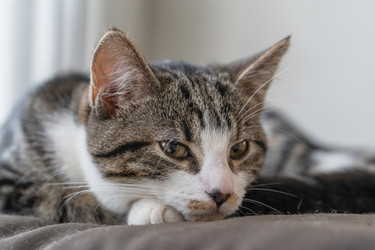 Similar image 21835237