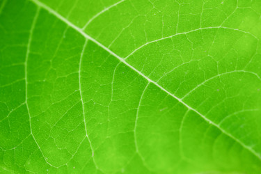 Similar image 21835238