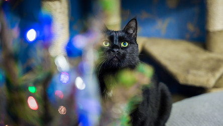 Similar image 21835241