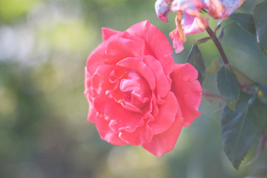 Similar image 21835242