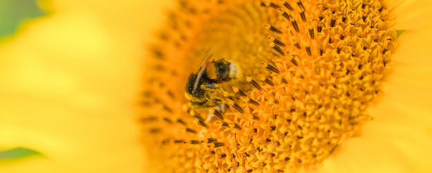 Similar image 21835244