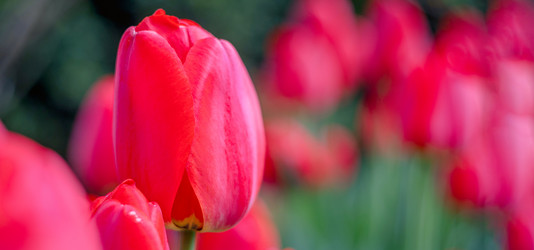 Similar image 21835246