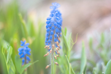 Similar image 21835249