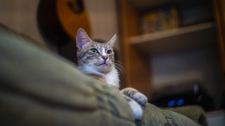 Similar image 21835685