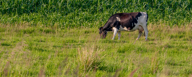 Similar image 21835252