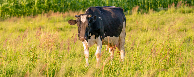 Similar image 21835253