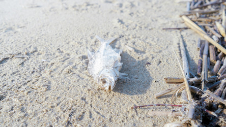 Similar image 21835260