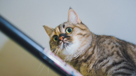 Similar image 21835269