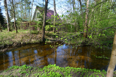 Similar image 21833309