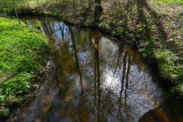 Similar image 21833310