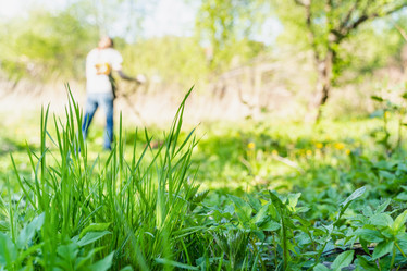 Similar image 21835277