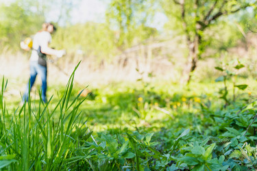 Similar image 21835278