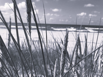 Similar image 21833137