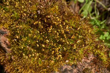 Similar image 21833138