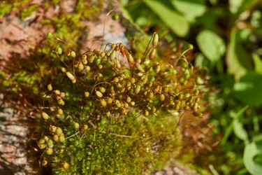 Similar image 21835281