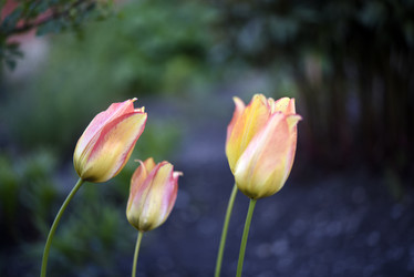 Similar image 21833326