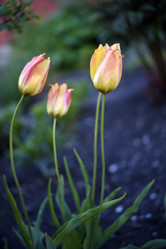 Similar image 21833327