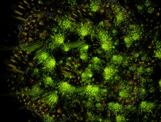 Similar image 21840236