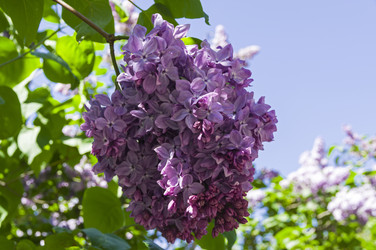 Similar image 21833349